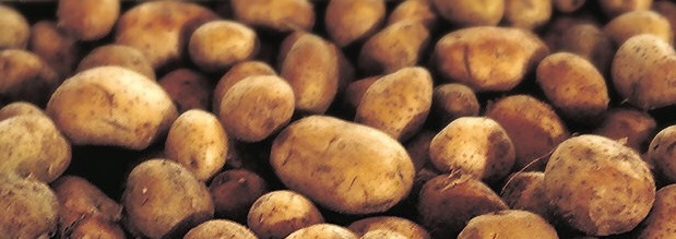 potatoes